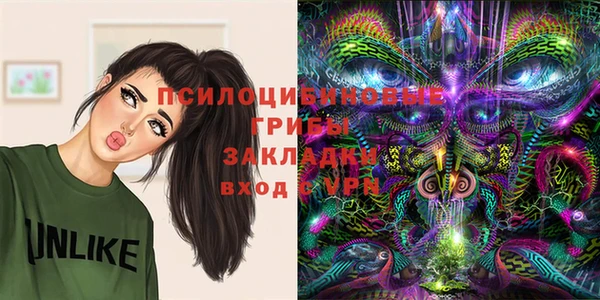 хмурый Армянск