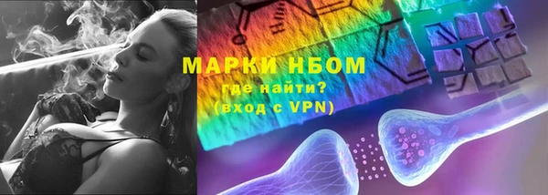 хмурый Арсеньев