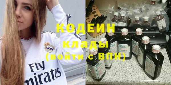 хмурый Арсеньев