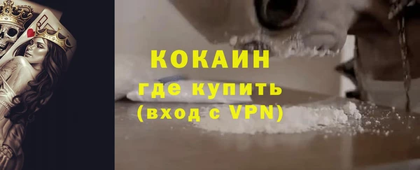 хмурый Арсеньев