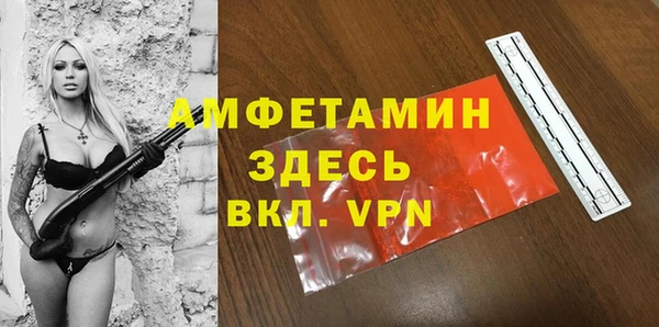 хмурый Арсеньев