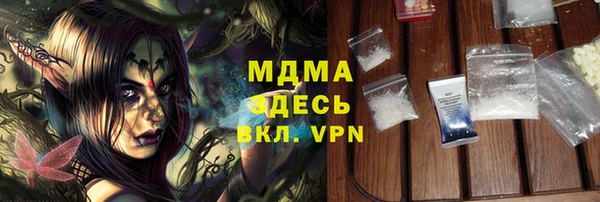 хмурый Арсеньев