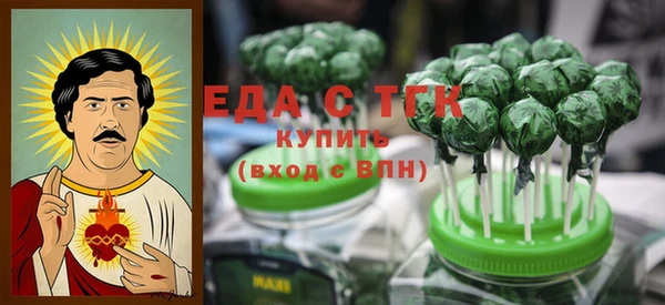 хмурый Арсеньев