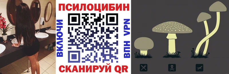 Галлюциногенные грибы Psilocybe  Рузаевка 